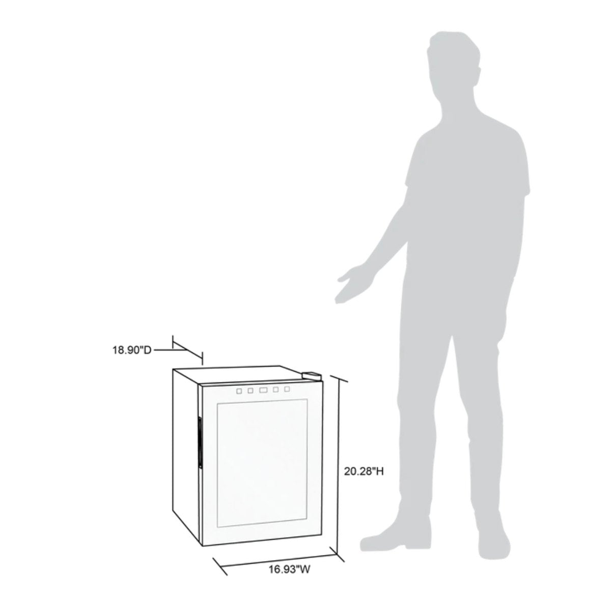 Newair 16 Bottle Shadow Series Freestanding Wine Fridge – 16.9" Black - Fridge Dimensions with Comparison to a Human Height