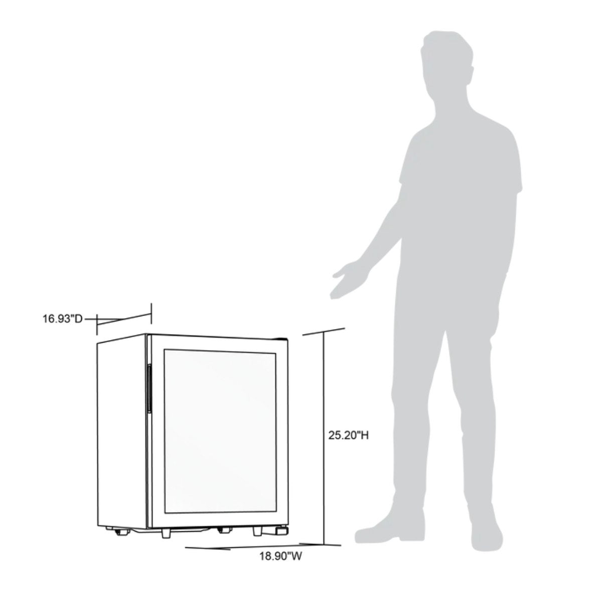 Newair 23 Bottle Freestanding Wine Fridge – 18.9" Stainless Steel - Dimension of the fridge with comparison to human height