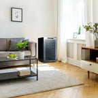 Newair 24 Bottle Shadow Series Wine Fridge – 16.9" Black - Fridge beside the couch