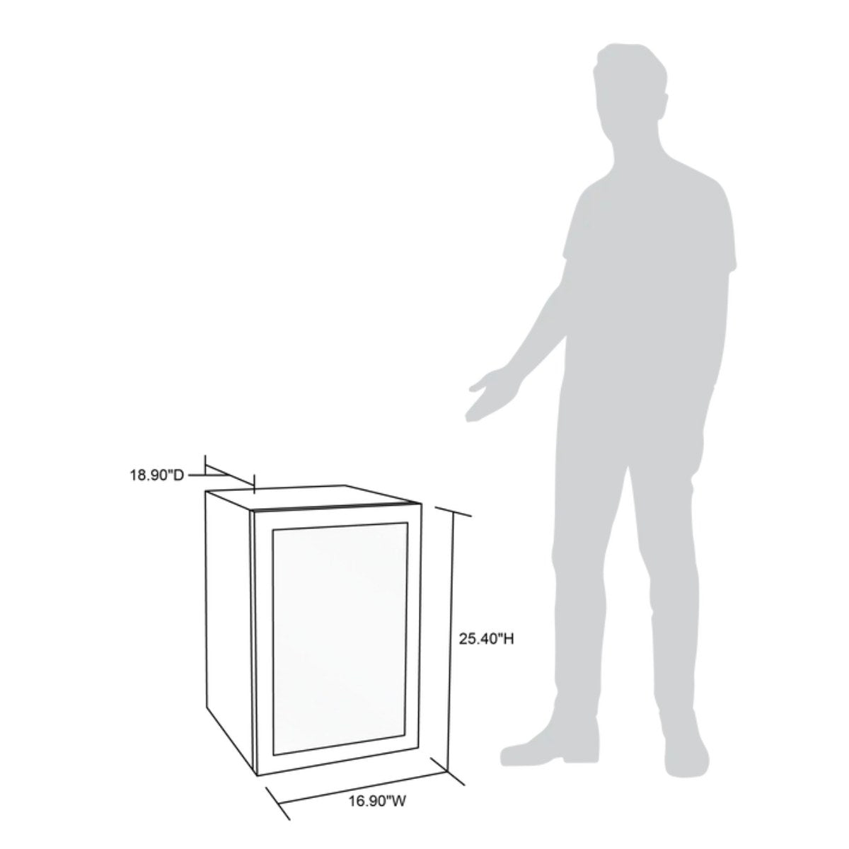 Newair 90 Can Freestanding Beverage Fridge – 17" Stainless Steel - dimensions of the fridge in comparison with human height