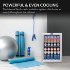 Whynter BR-091WS 90-Can Stainless Steel Beverage Refrigerator - Powerful and Even Cooling